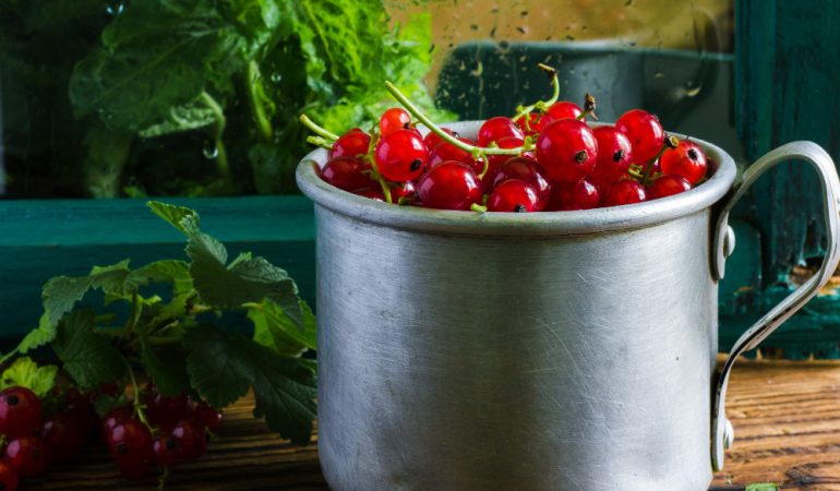 Cultivarea roșiilor cherry în ghiveci: Sfaturi de top